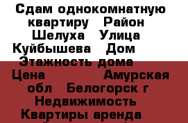 Сдам однокомнатную квартиру › Район ­ Шелуха › Улица ­ Куйбышева › Дом ­ 15 › Этажность дома ­ 5 › Цена ­ 12 000 - Амурская обл., Белогорск г. Недвижимость » Квартиры аренда   . Амурская обл.,Белогорск г.